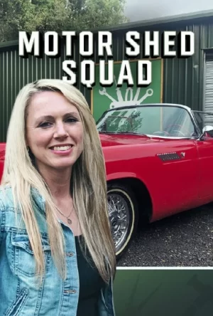 汽车棚小队海报