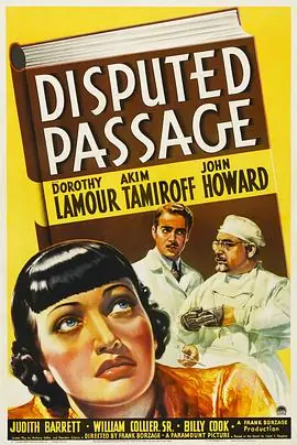 歧路DisputedPassage海报