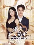 温少,夫人马甲被爆了海报