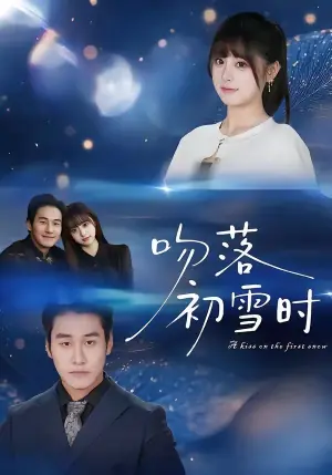 吻落初雪时海报