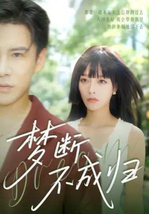 梦断不成归海报