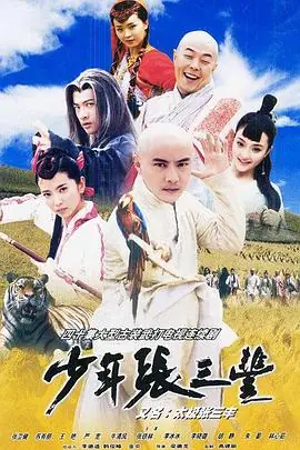 少年张三丰(粤语)海报