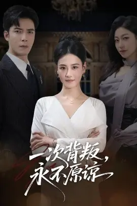 一次背叛,永不原谅海报