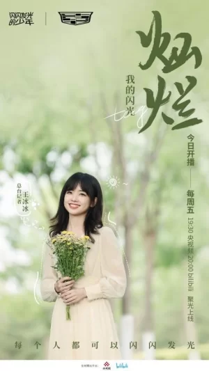 闪闪发光的少年第二季海报