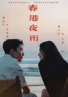 春港夜雨海报