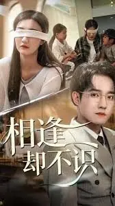 相逢却不识海报
