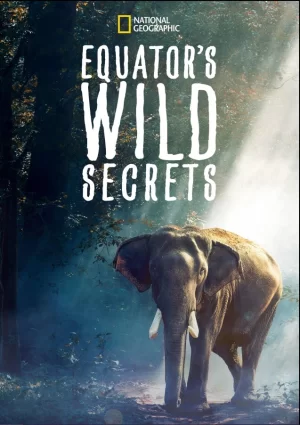 荒野之谜第一季海报