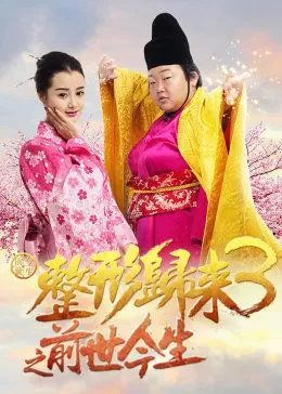 整形归来3:前世今生海报