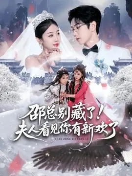 邵总别藏了!夫人看见你有新欢了海报