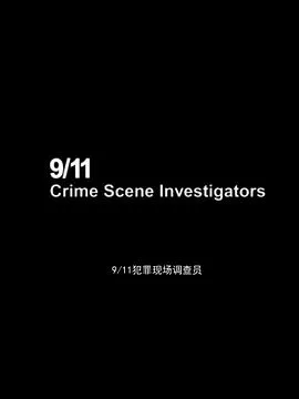 911犯罪现场调查员海报