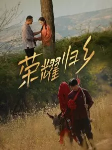 荣耀归乡64集海报