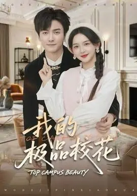 我的极品校花海报