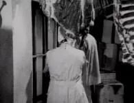 杀神色魔医生海报