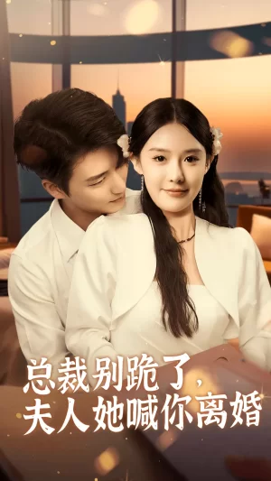 总裁别跪了,夫人她喊你离婚海报