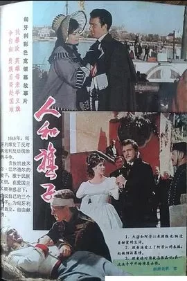 战士与旗帜海报