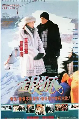 银狐(粤语)海报