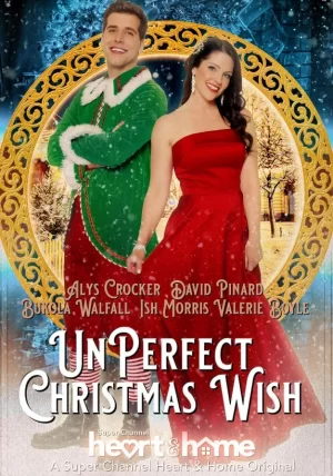 不完美的圣诞愿望海报