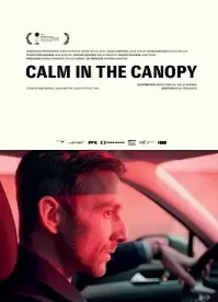 树冠上的平静海报