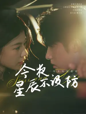 今夜星辰不设防海报