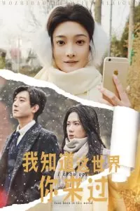我知道这世界你来过海报