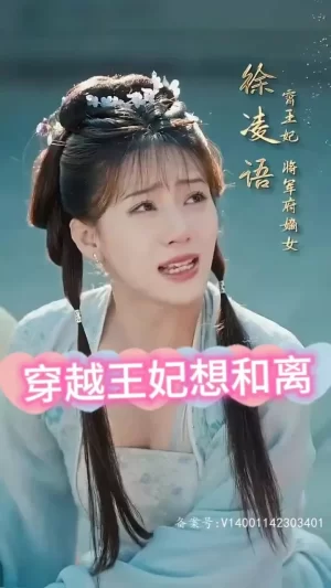 穿越王妃想和离海报