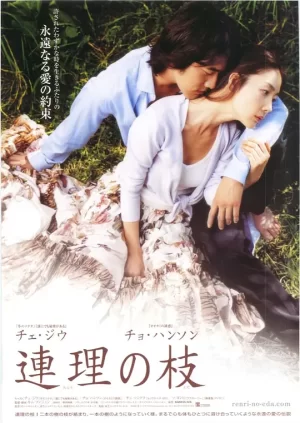 连理枝[影视解说]海报