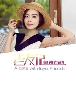 鲁豫有约之老友记2016海报