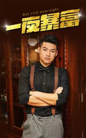 一夜暴富海报