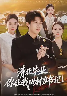 清北毕业,你让我回村当书记海报