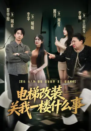 电梯改装关我一楼什么事海报