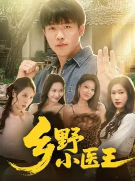 乡野小医王海报