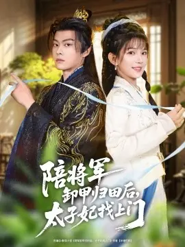陪将军卸甲归田后,太子妃找上门海报