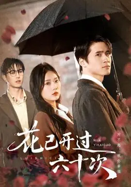 花已开过六十次海报