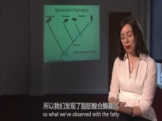 疾病的起源海报