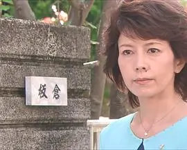 检察官霞夕子3一年一度的访客海报