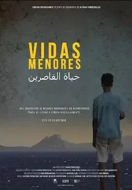 Vidasmenores海报