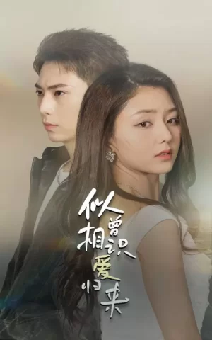 似曾相识爱归来海报