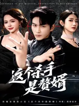 这个杀手是赘婿海报