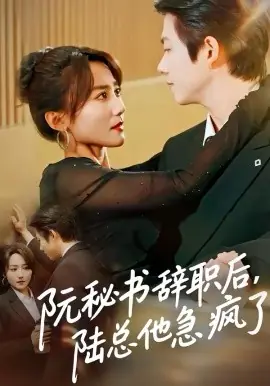 阮秘书辞职后,陆总他急疯了海报