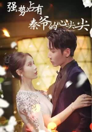 强势占有:秦爷的心尖尖海报
