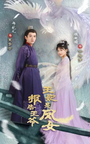 报告王爷,王妃是凤女海报