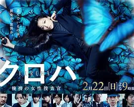 黑叶:机动搜查队女搜查官海报