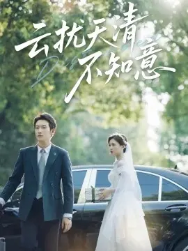 云扰天清不知意海报