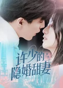 许少的隐婚甜妻第一季海报