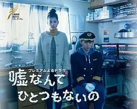 谎言什么的一个都没有海报