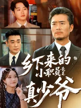 乡下来的小职员竟是真少爷海报