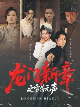 龙门新章之雪落无声海报