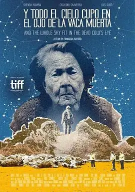 死牛的眼睛能看见整片天空海报