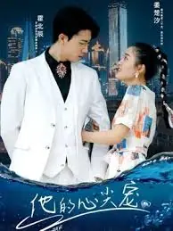 他的心尖宠海报