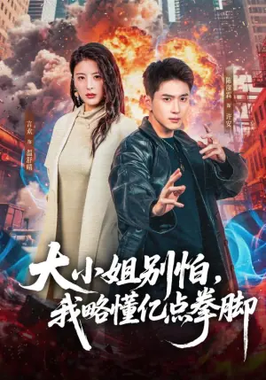 大小姐别怕,我略懂亿点拳脚海报